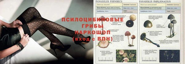 прущая мука Аркадак