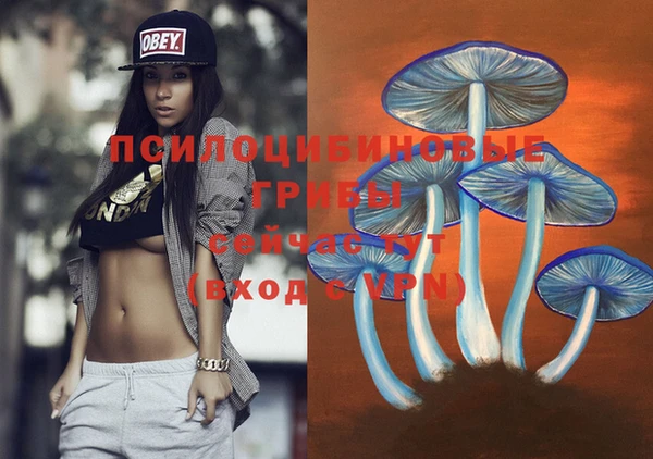 прущий лед Армянск