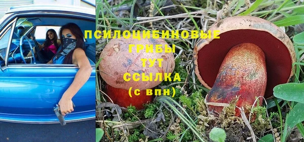 прущий лед Армянск